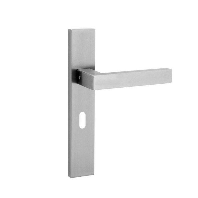 Austria Forza Deurkruk Sleutelgat Best Buy 210L Schild RVS